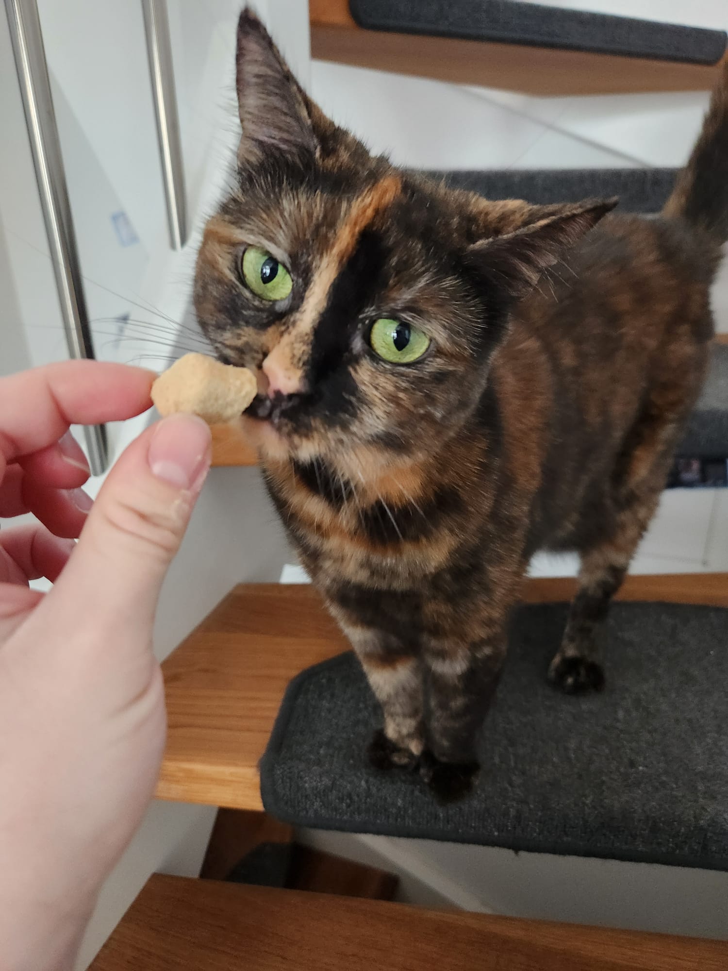 Freya